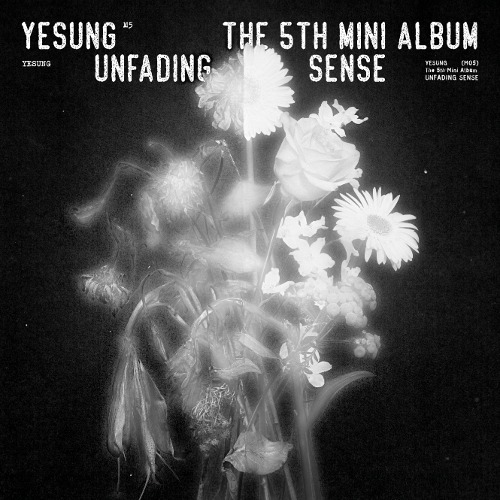 예성 미니 5집 [Unfading Sense]  (Special Ver.)